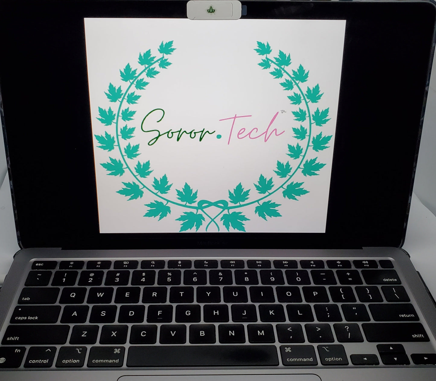 The Alpha Kappa Alpha Sorority, Incorporated Push Privacy Camera Cover