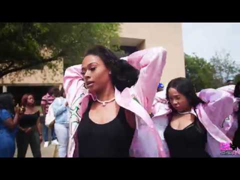 Throwback: Alpha Kappa Alpha | Beta Psi Chapter | Yard Show | Spring 2019